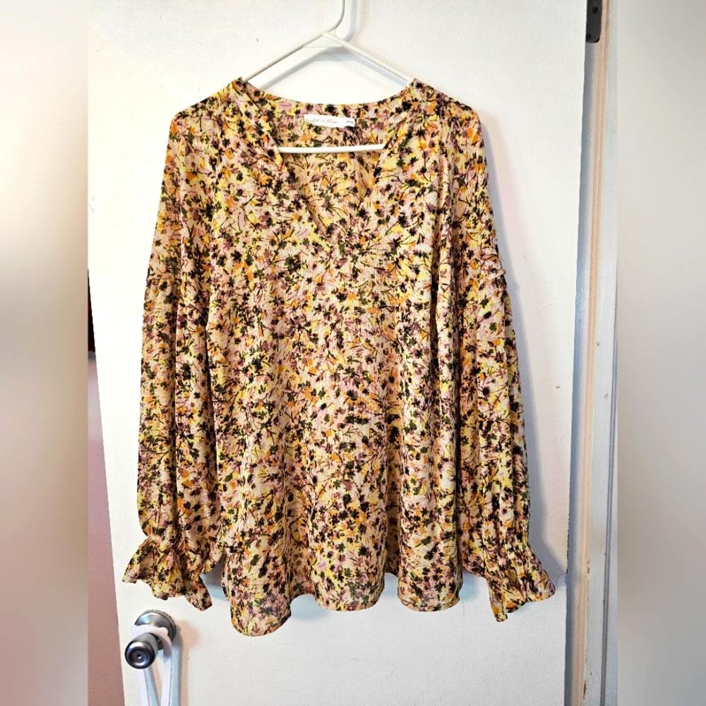 Long sleeved, sheer blouse